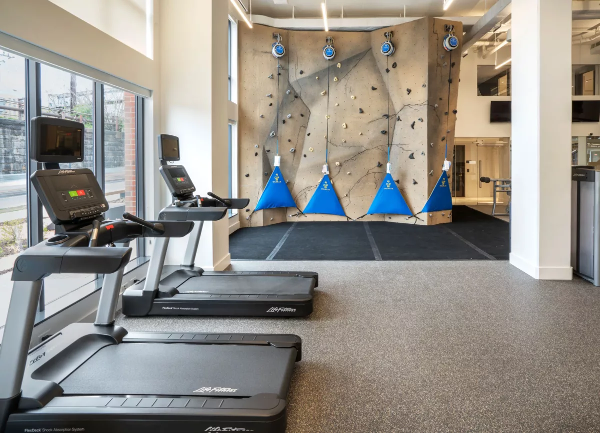 Workout area with treadmills, strength equipment, and climbing wall accents.